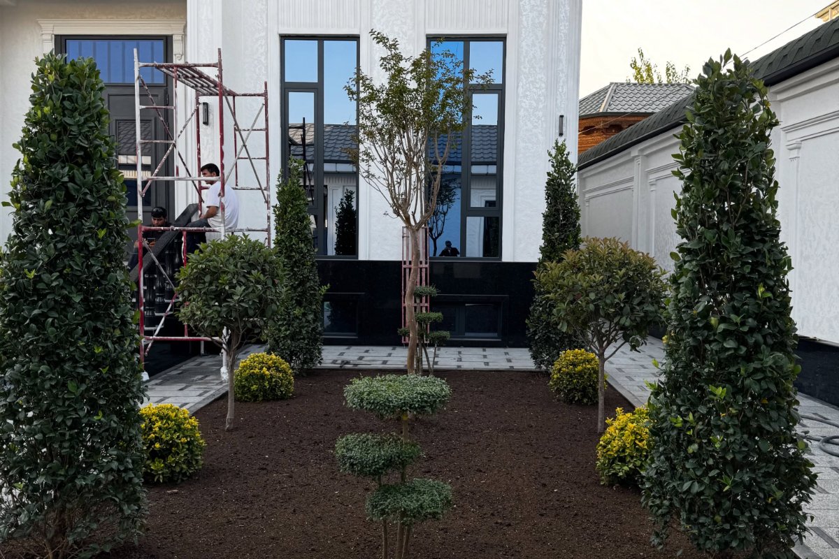 🌿🌱 خدمات باغبانی میلاد در تمام نقاط تهران 🌱🌿

🍀 در تهران