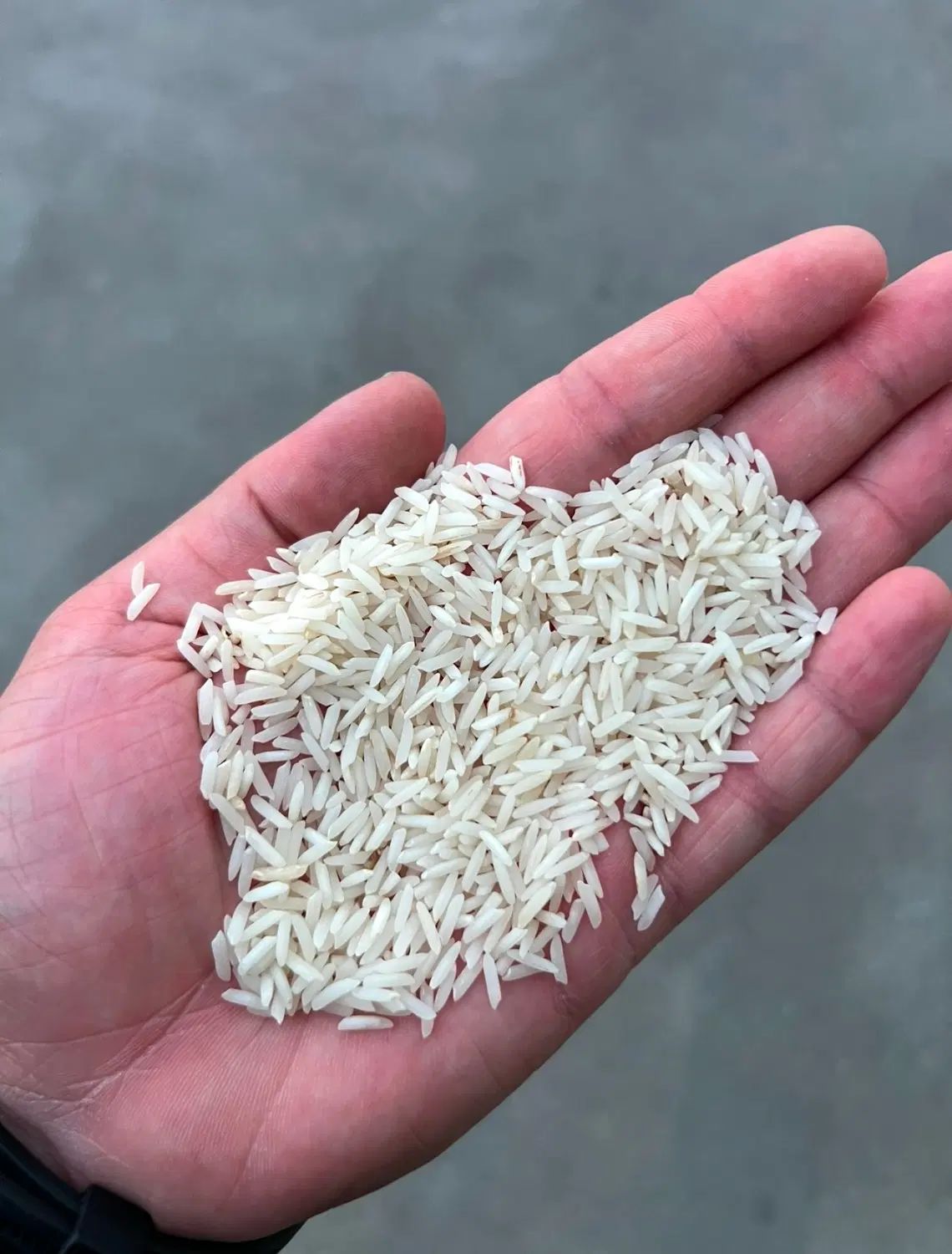 کاربر پنجره وب